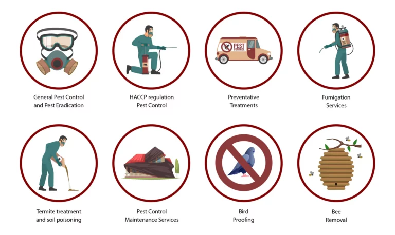 Our Offerings: