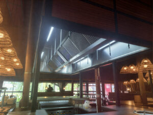 Ansul Piranha Fire Suppression System